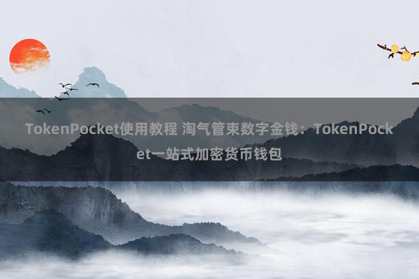 TokenPocket使用教程 淘气管束数字金钱：TokenPocket一站式加密货币钱包