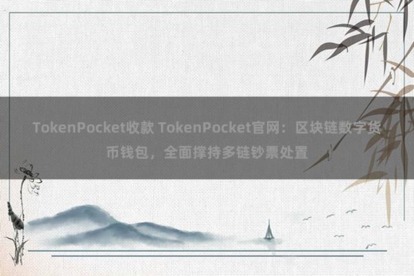 TokenPocket收款 TokenPocket官网：区块链数字货币钱包，全面撑持多链钞票处置