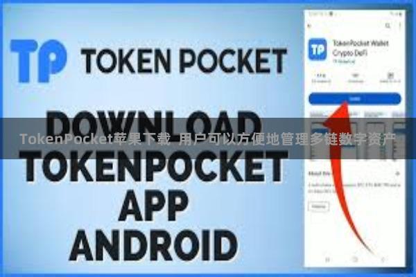 TokenPocket苹果下载  用户可以方便地管理多链数字资产